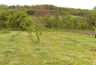 Vand casa mare+65 arii teren intravilan Vand casa mare+65 arii teren intravilan - 3