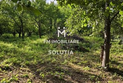 Teren intravilan 10 ari, zona Grigore Ureche, PUZ! - 4