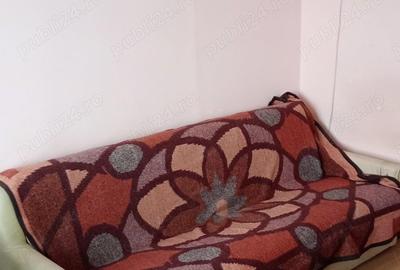 Apartament mobilat Darmanesti - 3