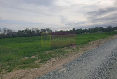 Teren Construcții intravilan de 7567 mp, în Sud - 5
