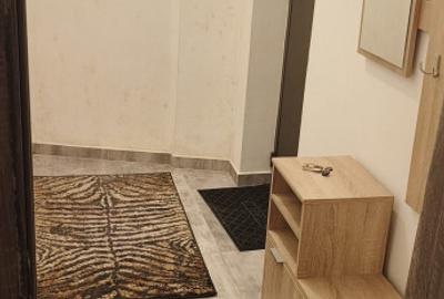 Garsonieră în Berceni