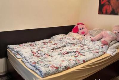 Casă cu 7 camere cu Teren 510 Mp în Paleu