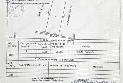 Teren de 6302 mp, în Ciupa-Mănciulescu - 2