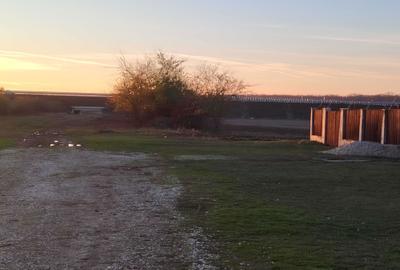 Teren de 980 mp, în Ciorogârla