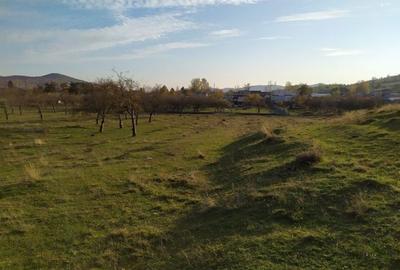 Teren Construcții intravilan de 2490 mp, în Voila - 4