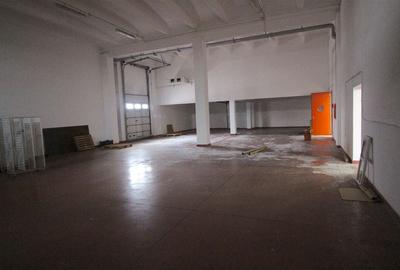 Hala productie    - Calea Torontalului de vanzare - 13