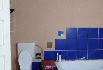 Casă cu 4 camere cu Teren 3264 Mp în Dorobanți - 3