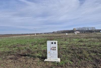 Teren de 638 mp, în Crevedia