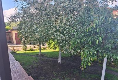 Vanzare casa individuala cu gradina matura Campenesti Apahida, Cluj-Napoca - 10