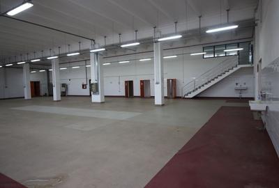 Hala productie    - Calea Torontalului de vanzare - 9