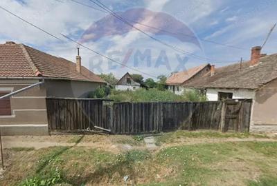 Teren curti constructii 857 mp de vanzare in Pecica , Arad - 3