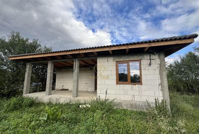 Casă cu 3 camere cu Teren 3800 Mp în Peleș - 2