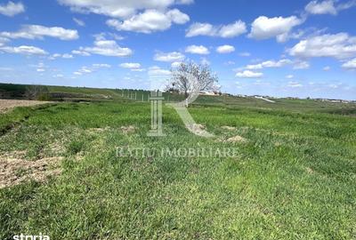 Teren de 2033 mp, în Tămășeu - 4