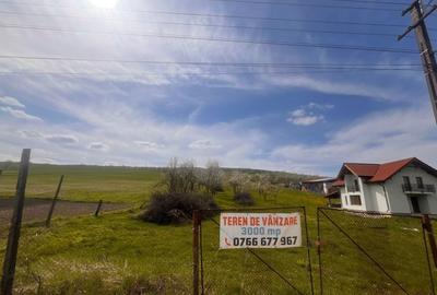 Spațiu comercial, în Bunești - 5