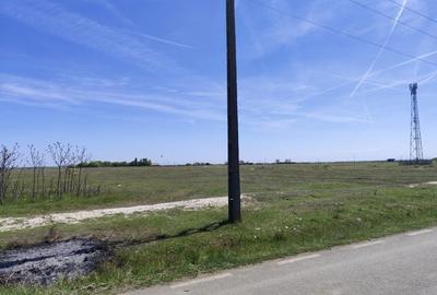 Casă cu 3 camere în Grăniceri - 3