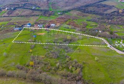 Teren Construcții intravilan de 33500 mp, în Valea Orlei - 5