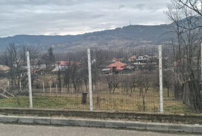 Teren de 1416 mp, în Exterior Vest - 5