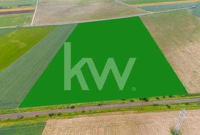 Teren de vanzare I 43 500 mp I Deschidere la drum - Harman - 18