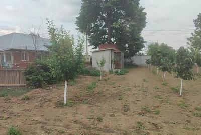 Casă cu 5 camere cu Teren 2500 Mp în Central - 10