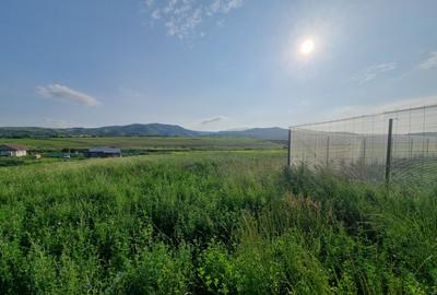 Teren 650 mp Luizi spre Sarata (Restaurant Excalibur) - 4