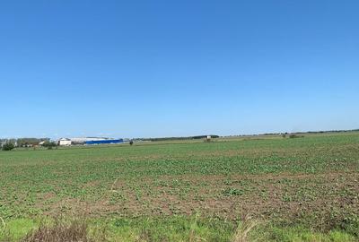 Teren Construcții intravilan de 52900 mp, în Afumați - 10