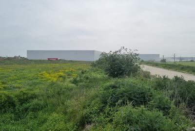 Teren Construcții intravilan de 11000 mp, în Bolintin-Deal