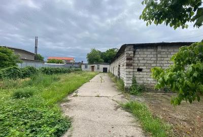 Spațiu comercial, de 220 mp, în Lugoj - 5