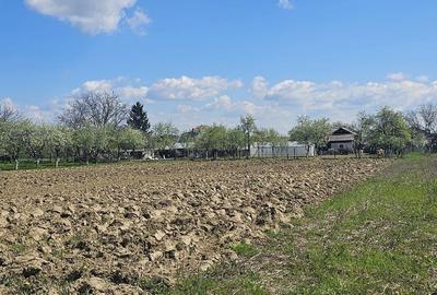 Teren de 1400 mp, în Roșu - 3