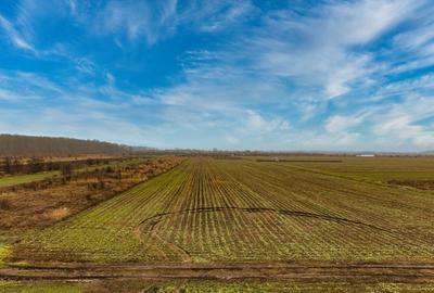 Teren Construcții intravilan de 5040 mp, în Săbăreni - 2