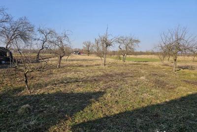 Casă cu 4 camere cu Teren 5400 Mp în Frătăuții Vechi - 8