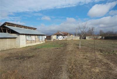 Teren de 7800 mp, în Central - 1