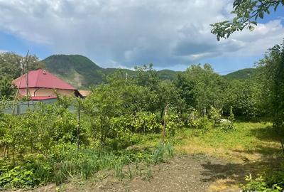 Vand casa + teren 2690 mp - 3