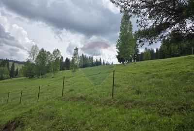 Teren agricol extravilan de 5034 mp, în Iacobeni - 5