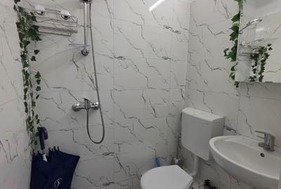 Decebal, Rond Alba Iulia, pe Moise Nicoara, renovata, mobilata si utilata lux - 6