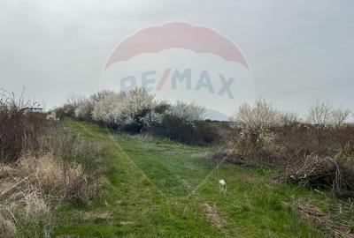 De vanzare Teren intravilan 1000 mp Balotesti / Strada Ion lahovari - 6