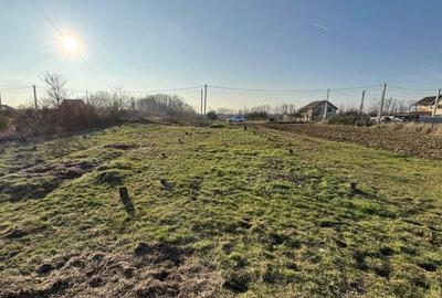 Spațiu comercial, în Moșoaia - 6