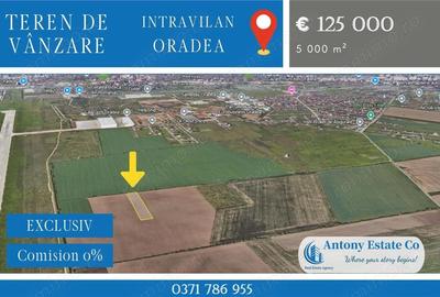 Teren de 5000 mp, în Aeroport