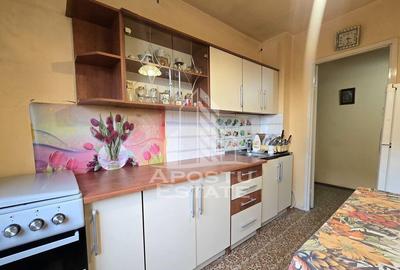 Apartament cu 2 camere langa Iulius Mall, Torontalului - 3