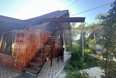 Casă cu 3 camere cu Teren 1400 Mp în Central - 3