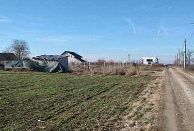 Direct proprietar teren intravilan 700mp Otopeni Odai - 2