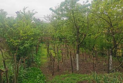 Casă cu 4 camere în Băbăița - 4