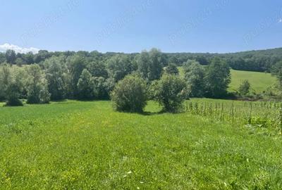 Teren de 2500 mp, în Central - 2