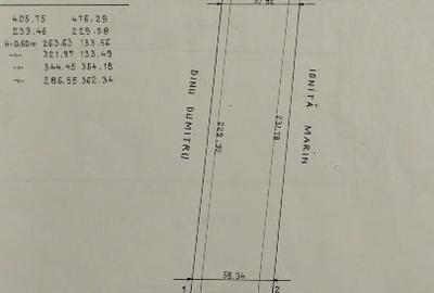Vinzare TerenTincabesti linga Equestria - 2