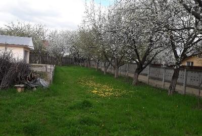 Teren Construcții intravilan de 1150 mp, în Dacia - 3