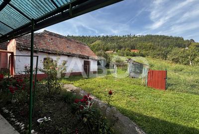 Casa saseasca de vanzare + bonus doua terenuri Seica Mare Sibiu - 7