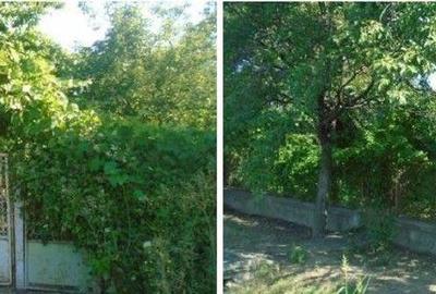 Casa si teren Straoane, cota parte 3/8. ID: R2715611 - 18