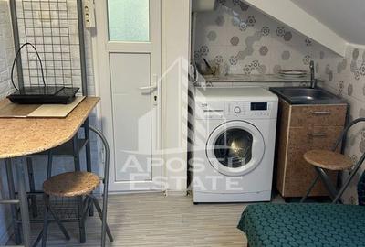 Garsonieră nedecomandată, mobilată în Iosefin - 4