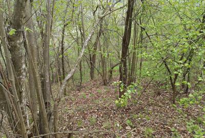 Spațiu comercial, în Central - 5