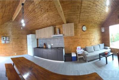 VILA SUPERBA AFACERE LA CHEIE COSTINESTI - 25