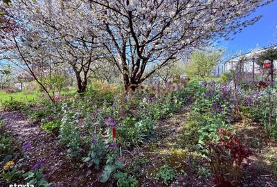 Spațiu comercial, în Nicolina - 6